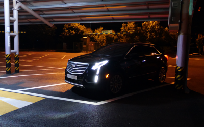 P1112364.MP4_000008299